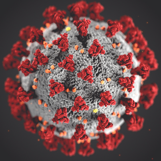 Het Coronavirus beïnvloedt onze dagelijkse werking.
